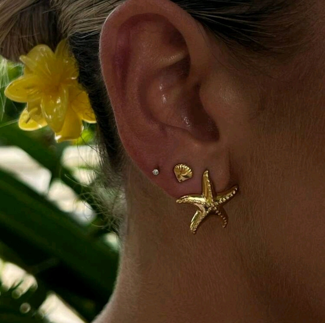 Set de pendientes marinos