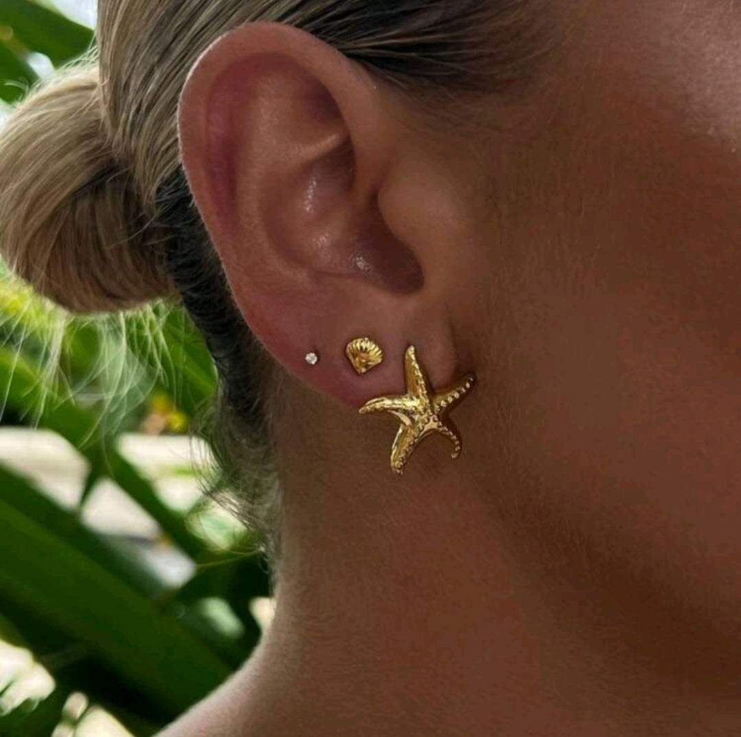 Set de pendientes marinos